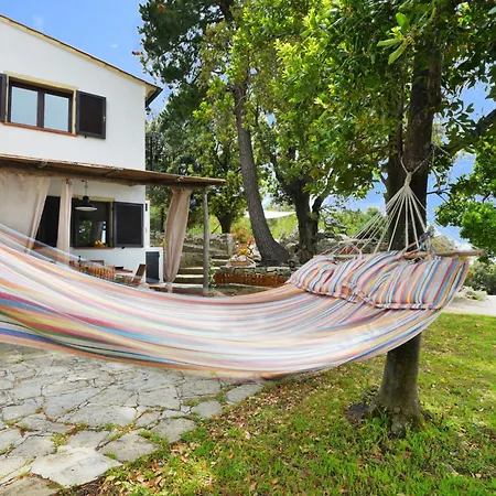 Ciuffini By Interhome La Guardia