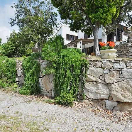 Ciuffini By Interhome