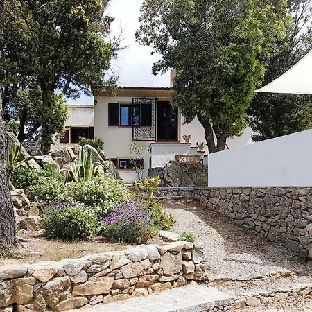 Ciuffini By Interhome La Guardia