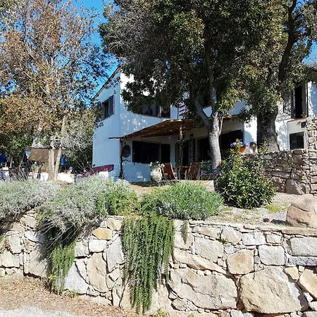 Ciuffini By Interhome La Guardia